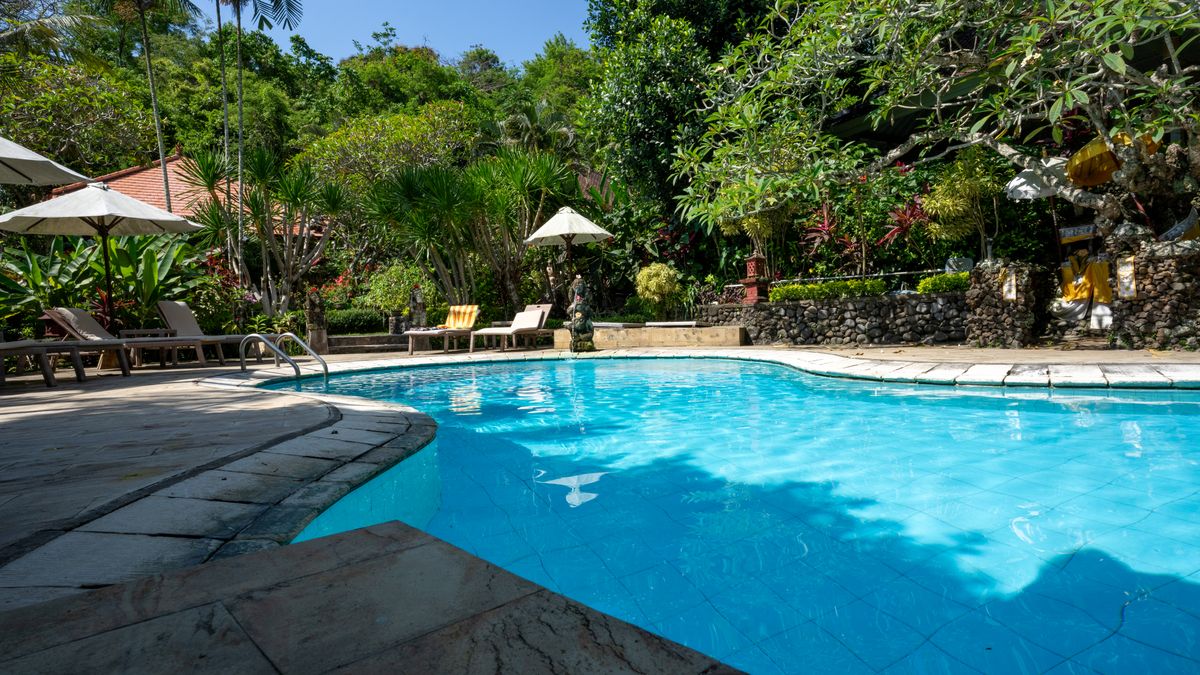 Natural Pool vs Kolam Renang Biasa di Villa Bali