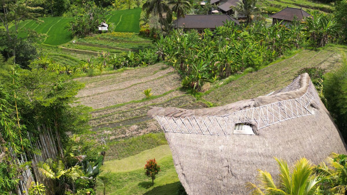 Panduan Jungle Retreat di Ubud untuk Pemula