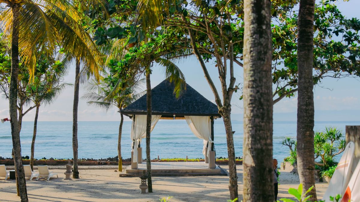 Musim Terbaik Menikmati Jungle Spring Bali