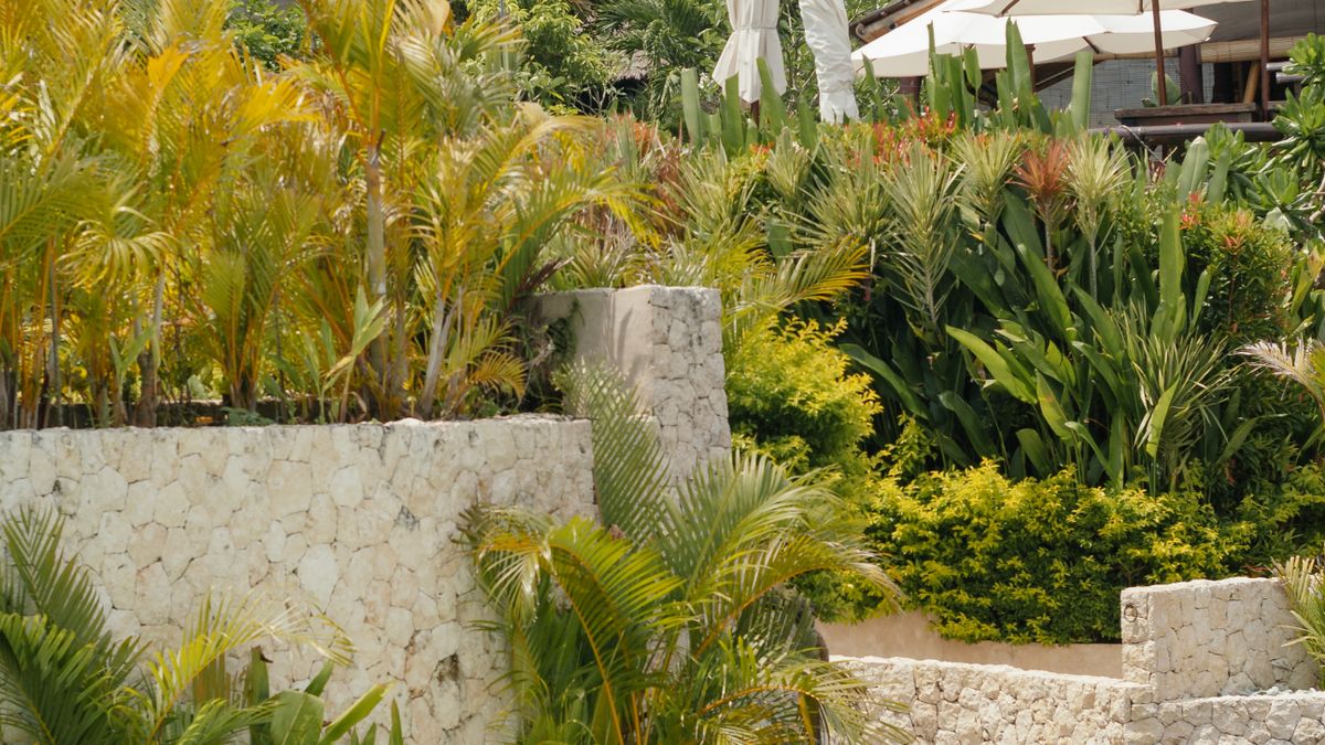 Panduan Memilih Villa Alam di Ubud