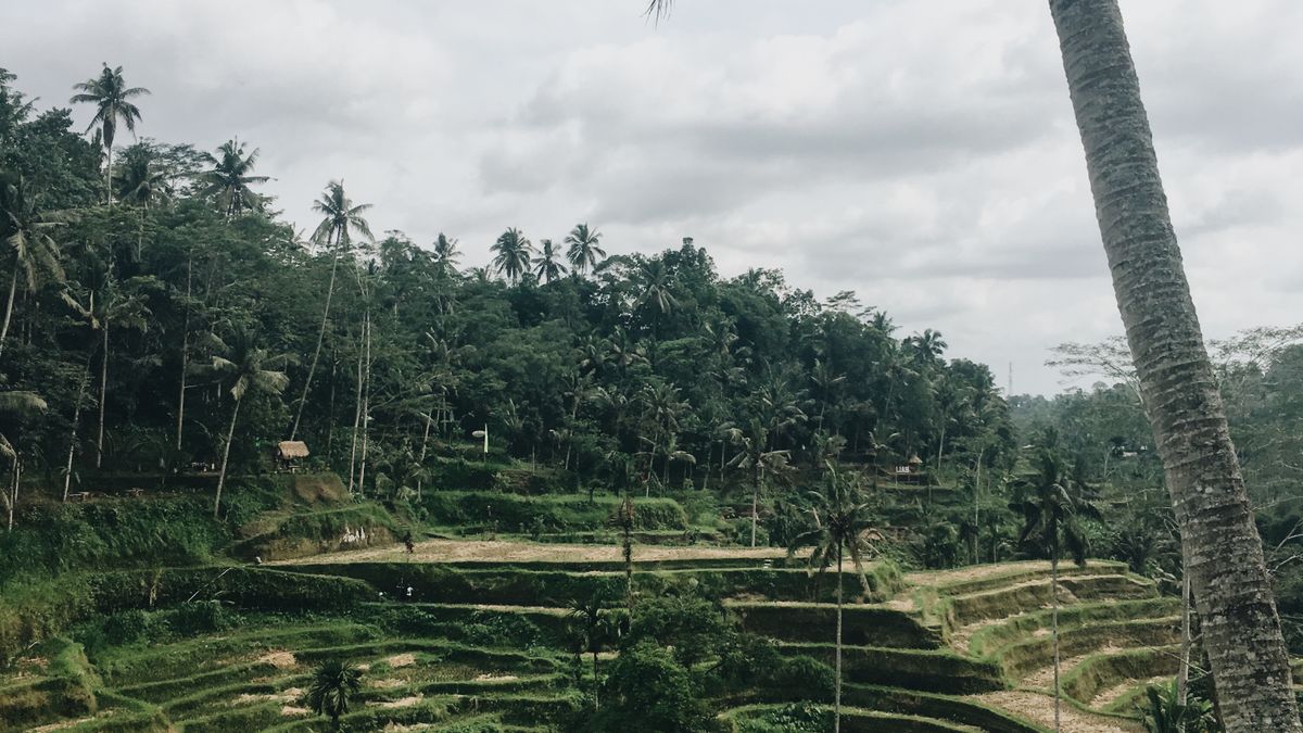 Spa Alami Ubud untuk Relaksasi Saat Liburan