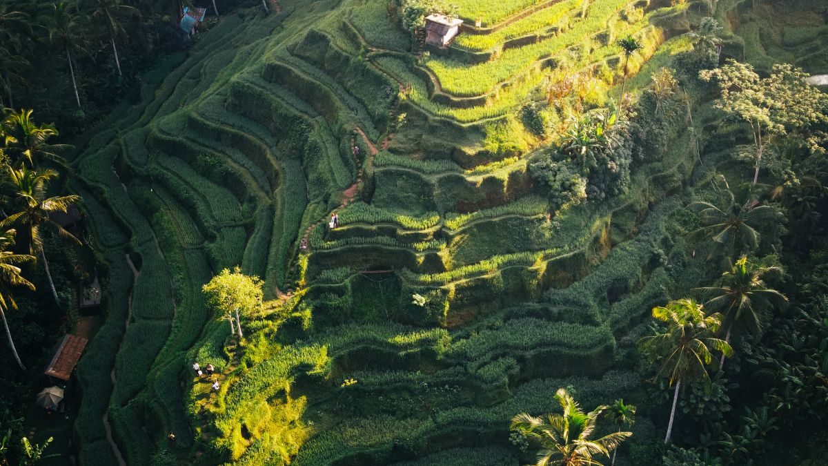 Itinerary 3 Hari di Ubud untuk Pencinta Alam