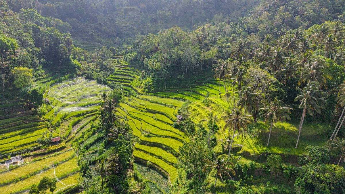 Packing List untuk Menginap di Villa Jungle Bali