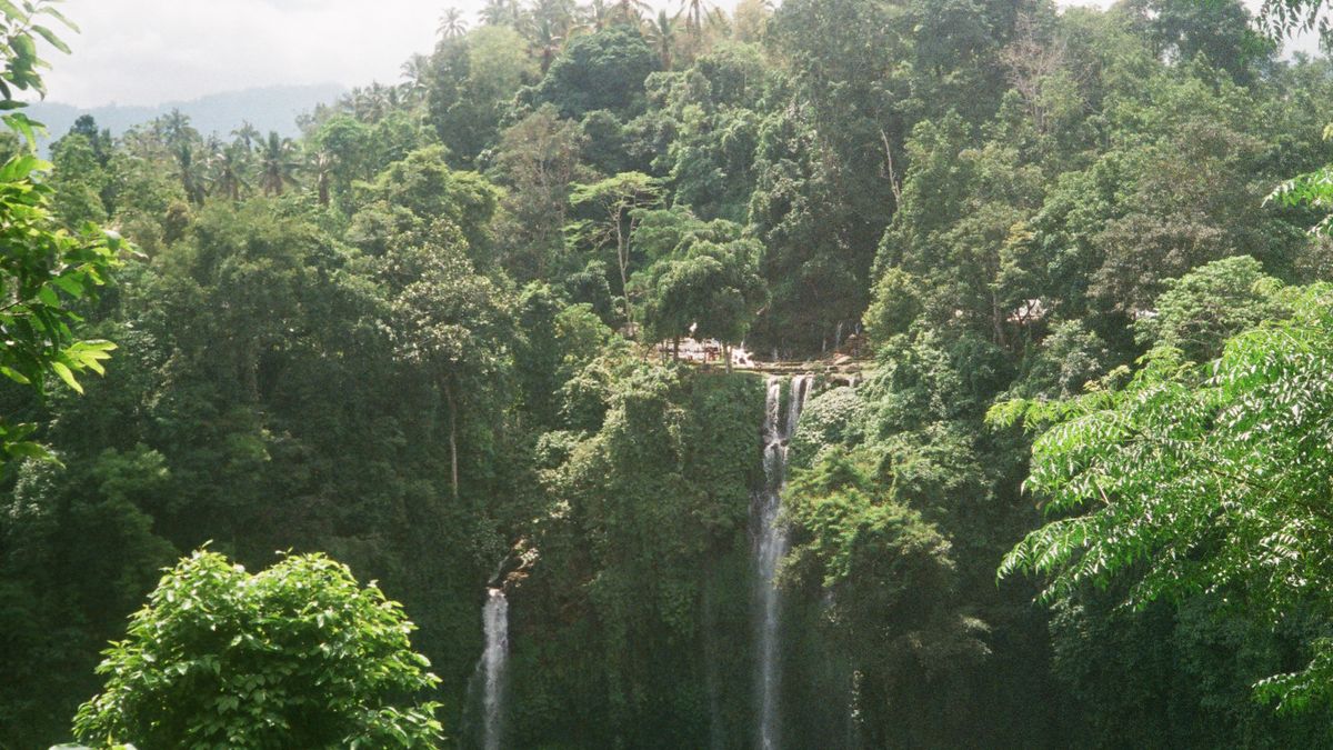 Villa dengan Pemandangan Hijau di Bali