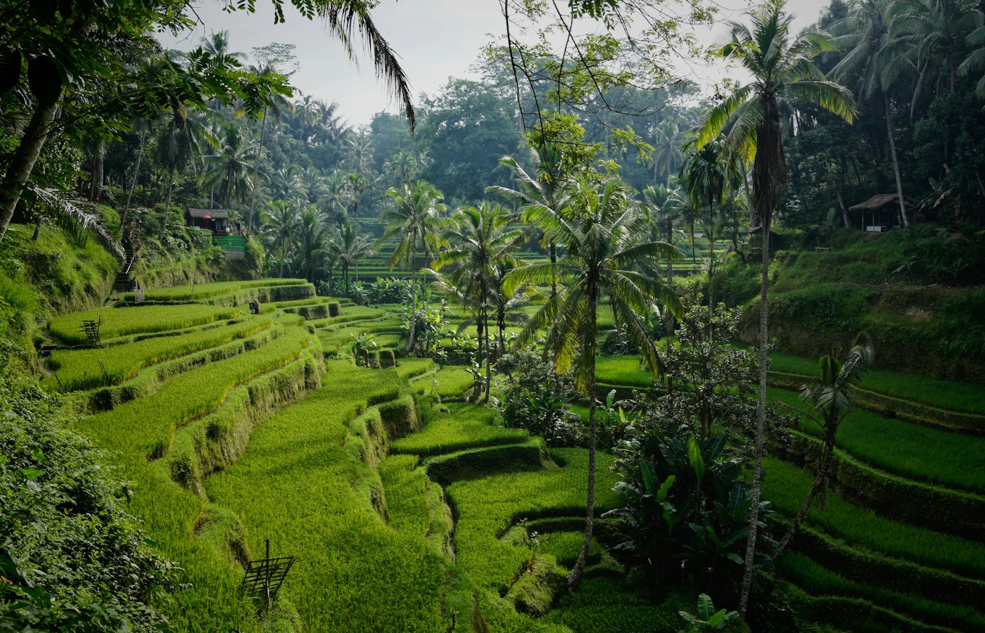 seven-day Bali itinerary