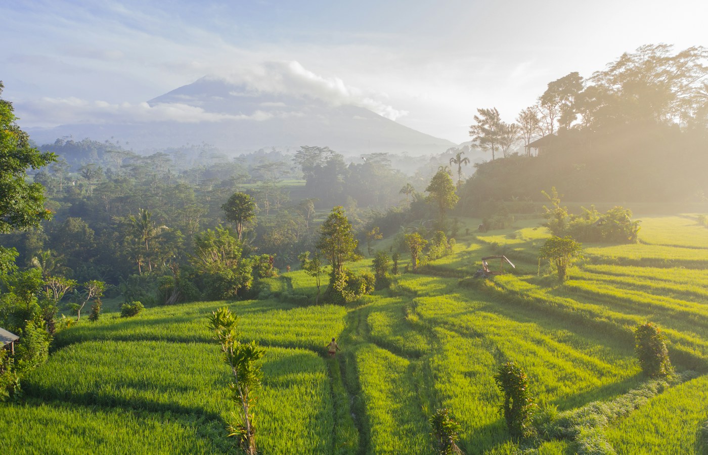 solo travel in Bali