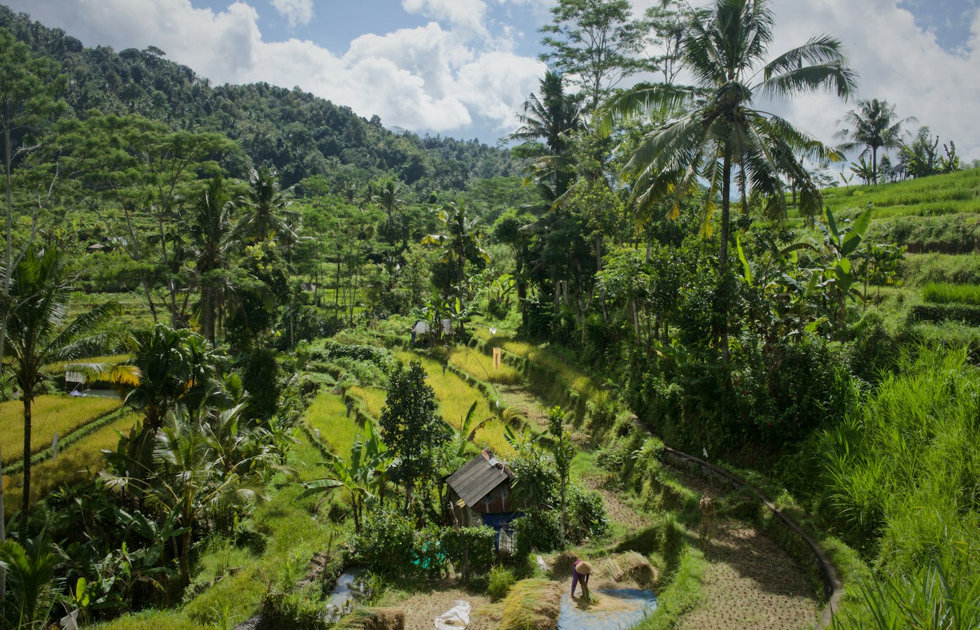 Sidemen Bali guide